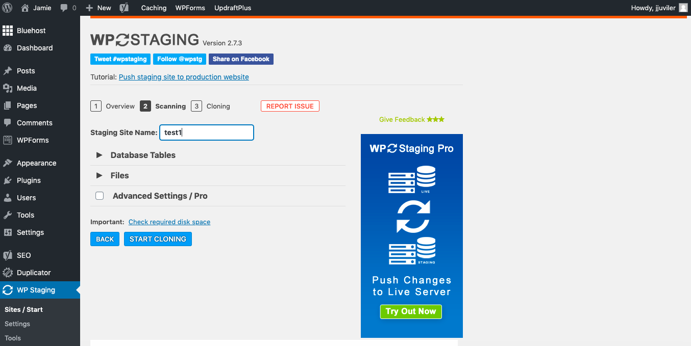 Ingresar el nombre del sitio de prueba en la configuración del complemento WP Staging