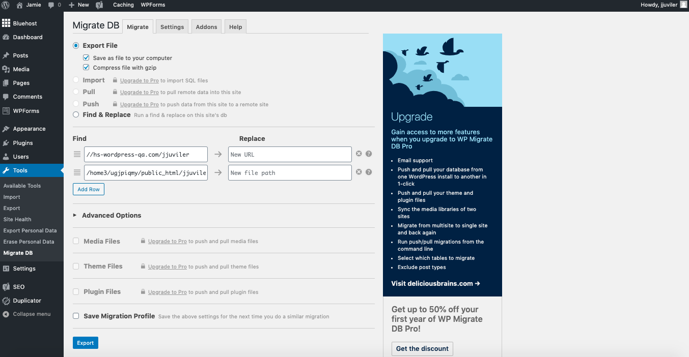 Página de configuración del complemento WP Migrate DB en el panel de WP