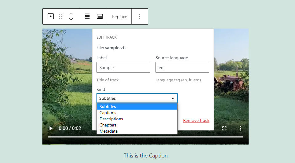 Rutas de texto del bloque de video