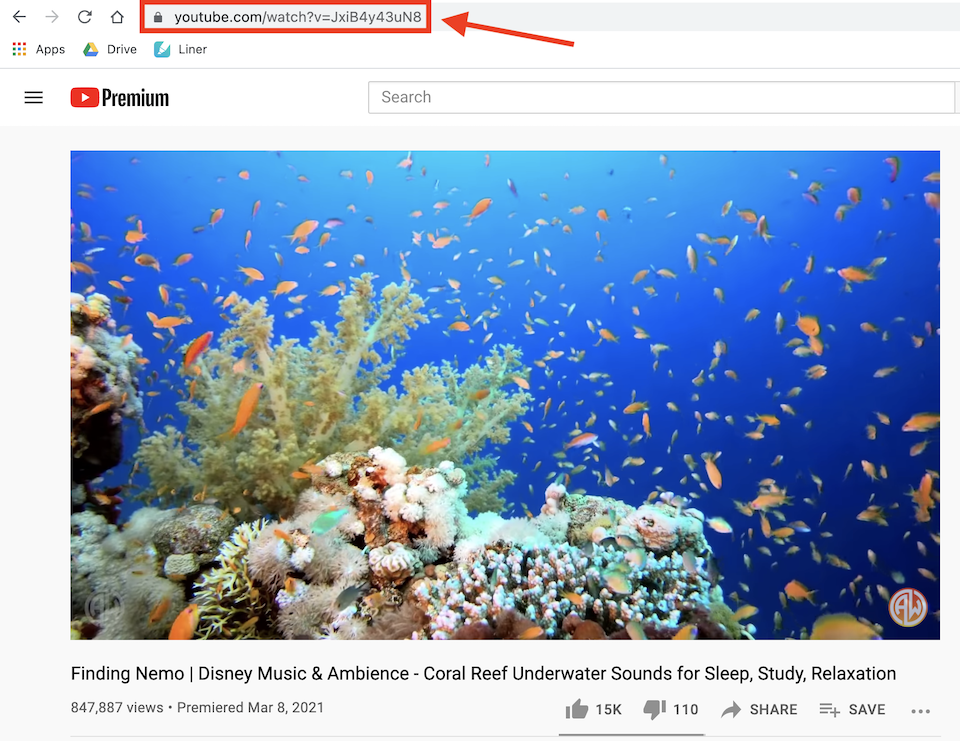 añadir vídeo a wordpress