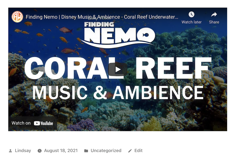 añadir vídeo a wordpress