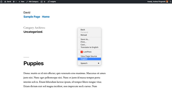 Usuario de WordPress haciendo clic en "Verificar" en la página de categoría en el tablero para ver la hoja de estilo HTML y CSS de salida