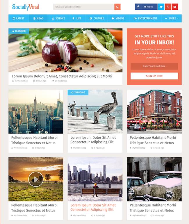 Tema de WordPress socialmente viral