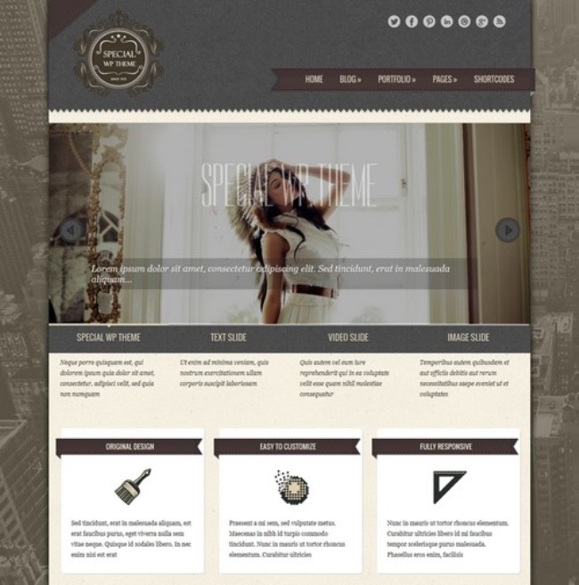 Especial-responsive-Wordpress-theme