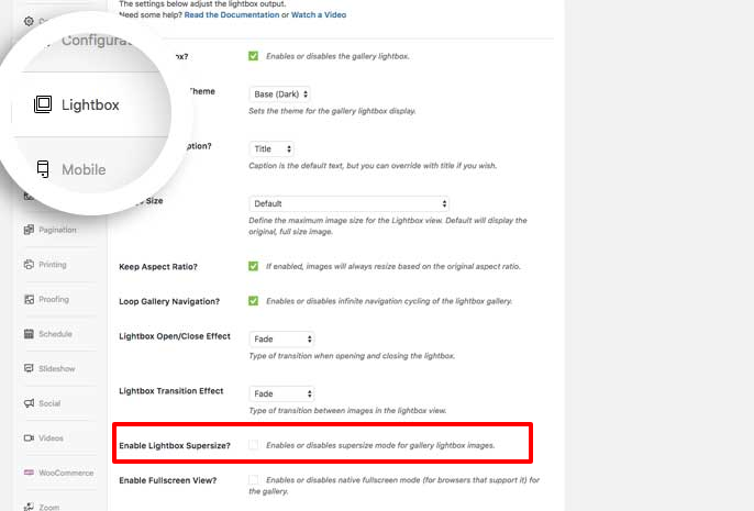 La función Zoom de imagen está resaltada en la página de configuración del complemento Envira Gallery