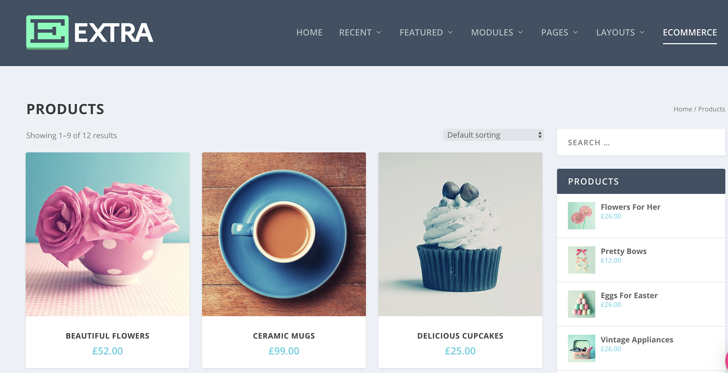 Revisión de tema adicional de WooCommerce Store Elegant Themes
