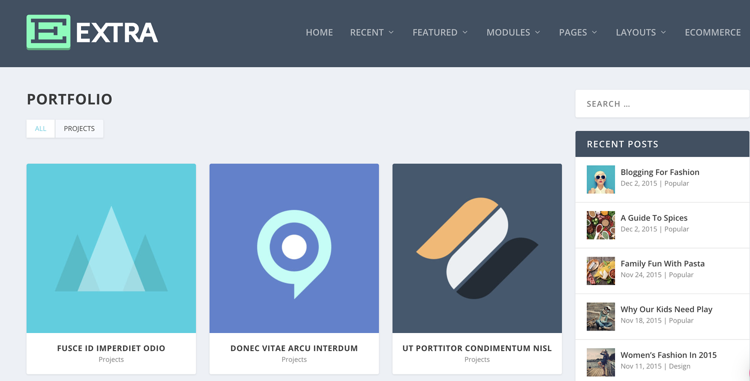 portafolio de proyectos resumen adicional de elegantthemes