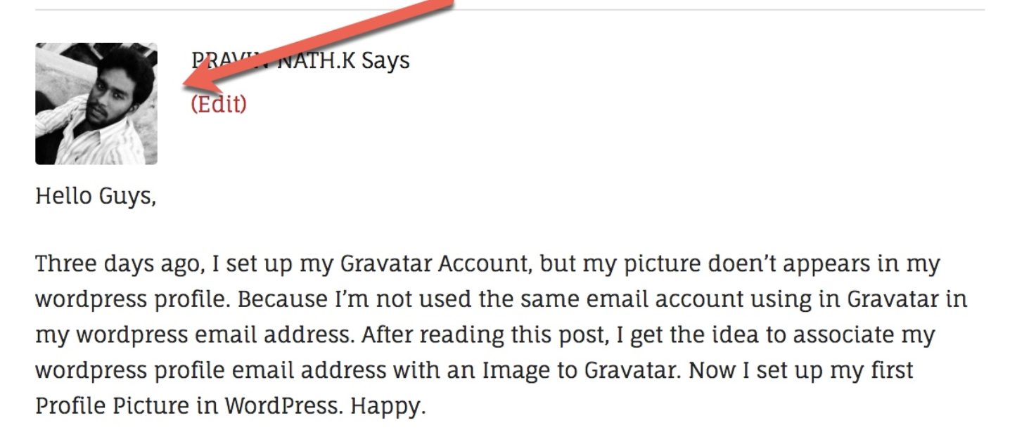 ejemplo 2 gravatar usa wordpress