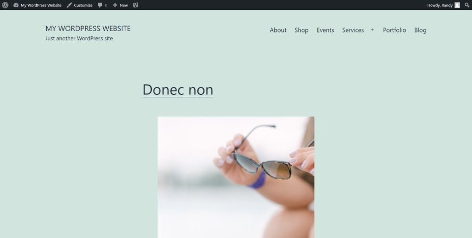 Solucionar un error de análisis si no tienes acceso a WordPress