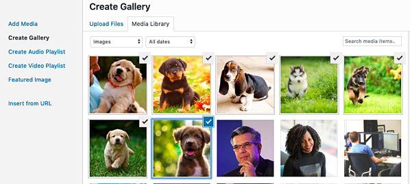 Cómo seleccionar fotos de la biblioteca de medios a la galería de fotos en la publicación de WordPress