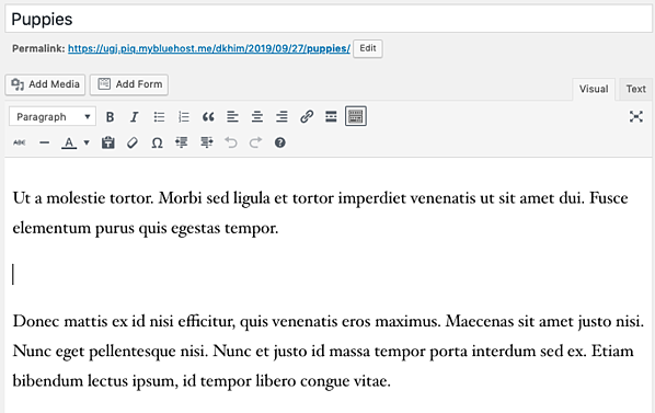 Cómo elegir una ubicación de galería de fotos en una publicación de WordPress