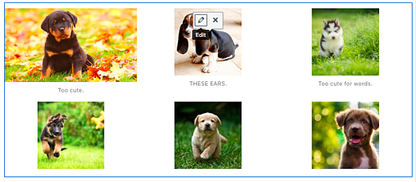 Cómo actualizar tu galería de fotos en una publicación de WordPress