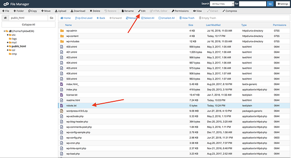 Busque el archivo robots.txt en la carpeta public_html y haga clic en Editar en el menú en la parte superior de la pantalla