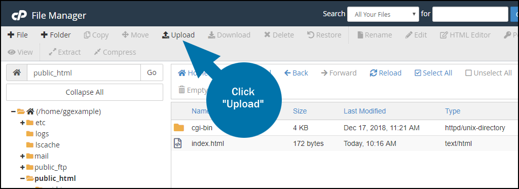cargue el archivo robots.txt nuevamente en la carpeta public_html en el cPanel de su cuenta de hosting