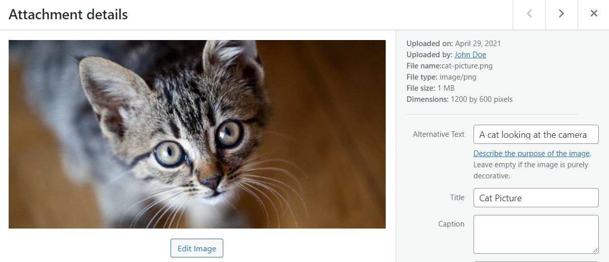 Agregar una imagen de gato a WordPress