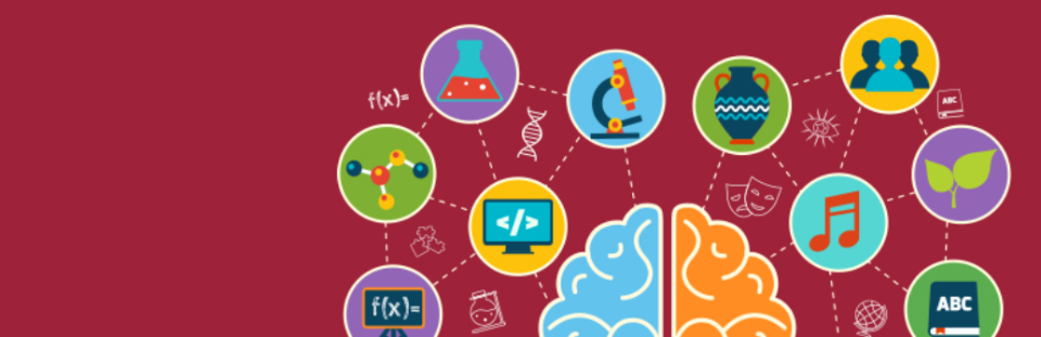 Base de conocimiento de WP