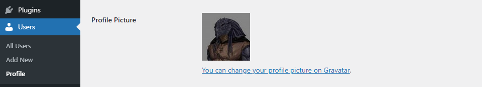 nueva bio imagen de autor de wordpress