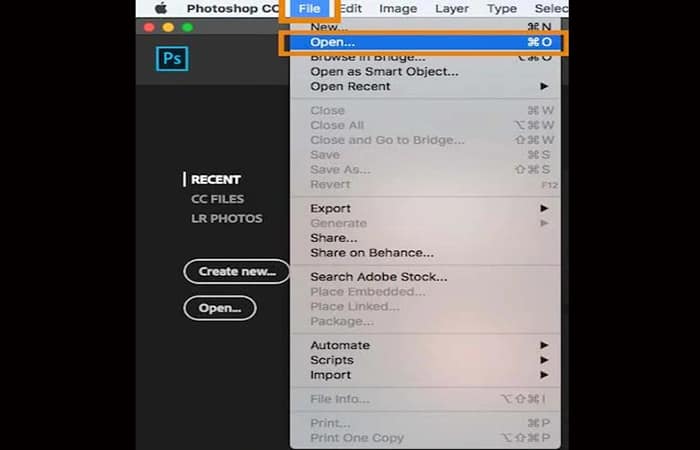 cambiar la cara de una foto con otra