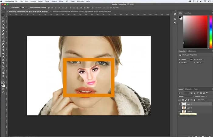 Intercambio de rostros