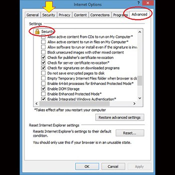 Opciones avanzadas de internet