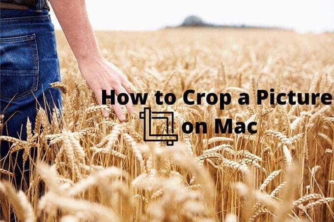 Cómo recortar una imagen en Mac