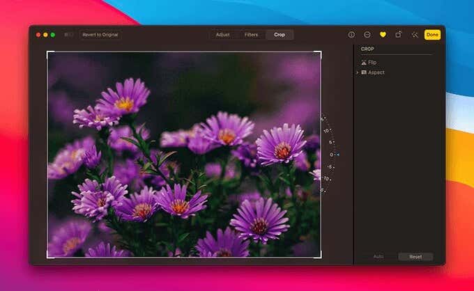 área de recorte de la foto