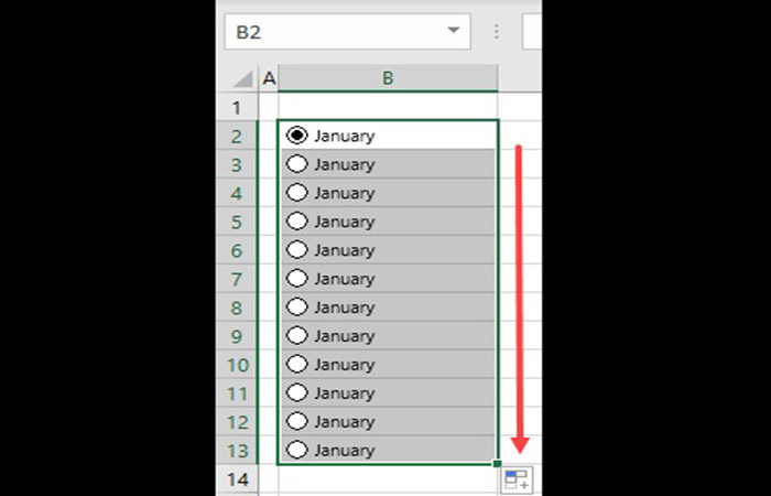 Insertar botones de selección múltiple