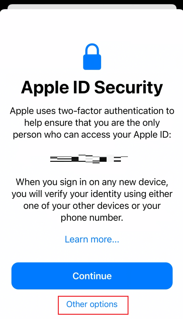 En la pantalla Seguridad de ID de Apple, toque Otras opciones |  Cómo ingresar a su cuenta de iCloud