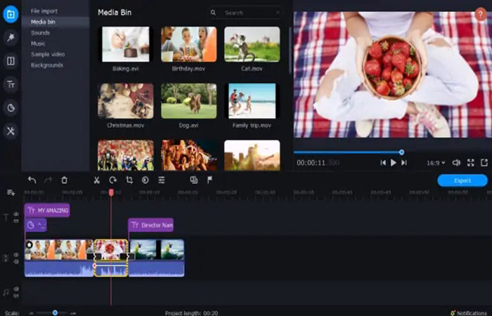 Movavi Video Editor Plus