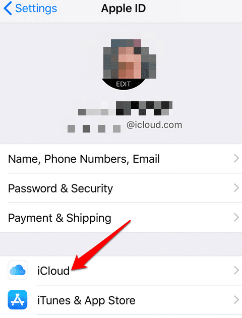 Menú de iCloud en la ventana de ID de Apple