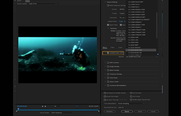 Lumetri Look/LUT