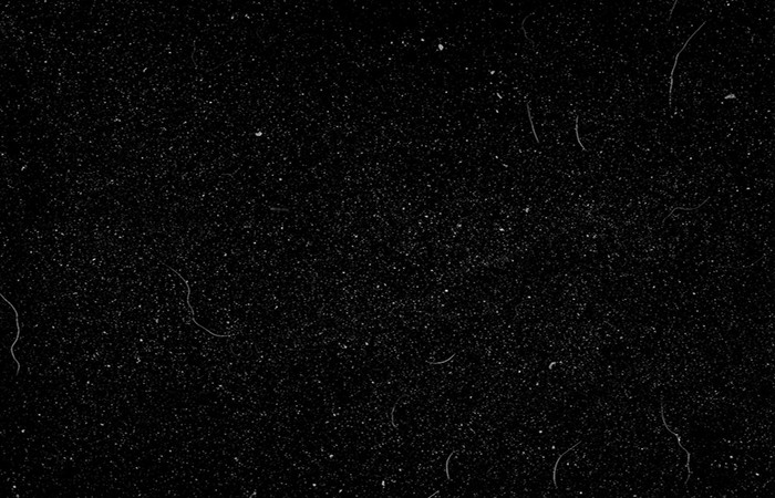 herramienta Recortar (tecla C)