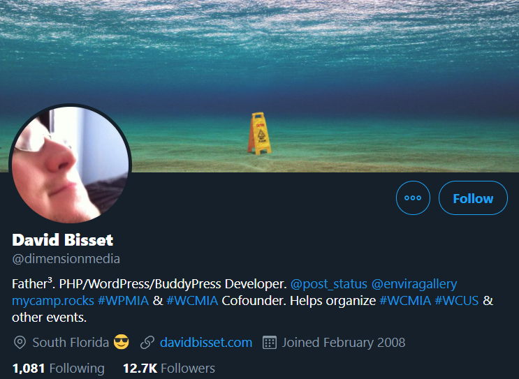 david bisset
