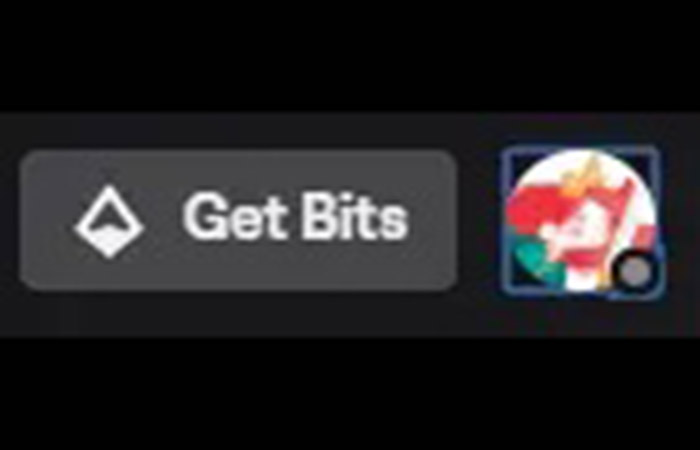 cambia el tamaño de tu foto de perfil de Twitch