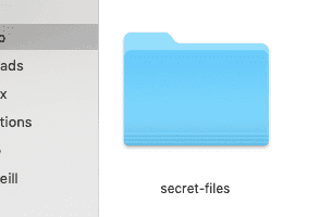 una carpeta llamada archivos secretos