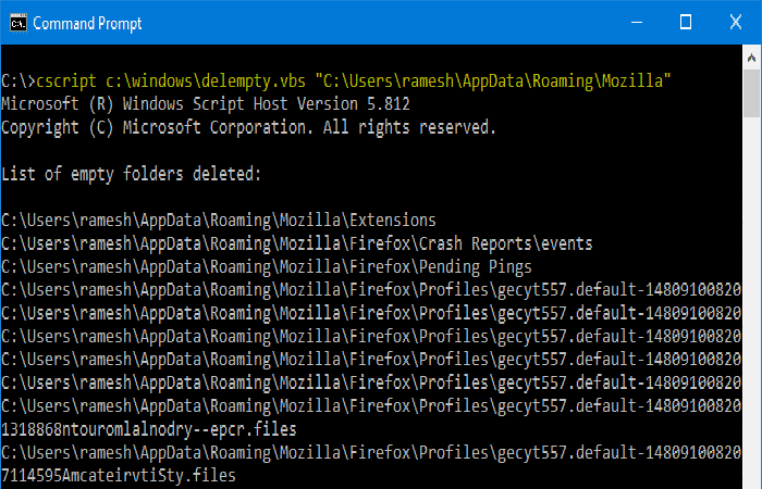 cscript.exe delempty.vbs "ruta_carpeta"