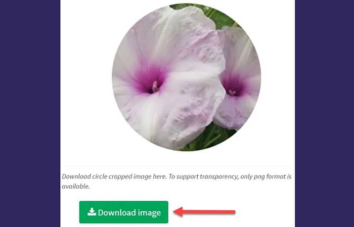 haz clic en el botón 'Recortar imagen'.