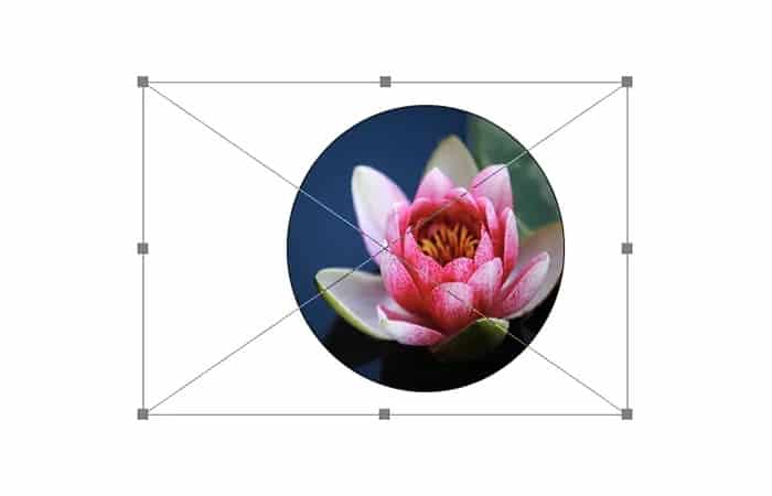 haz clic en la opción 'Crear máscara de recorte'.