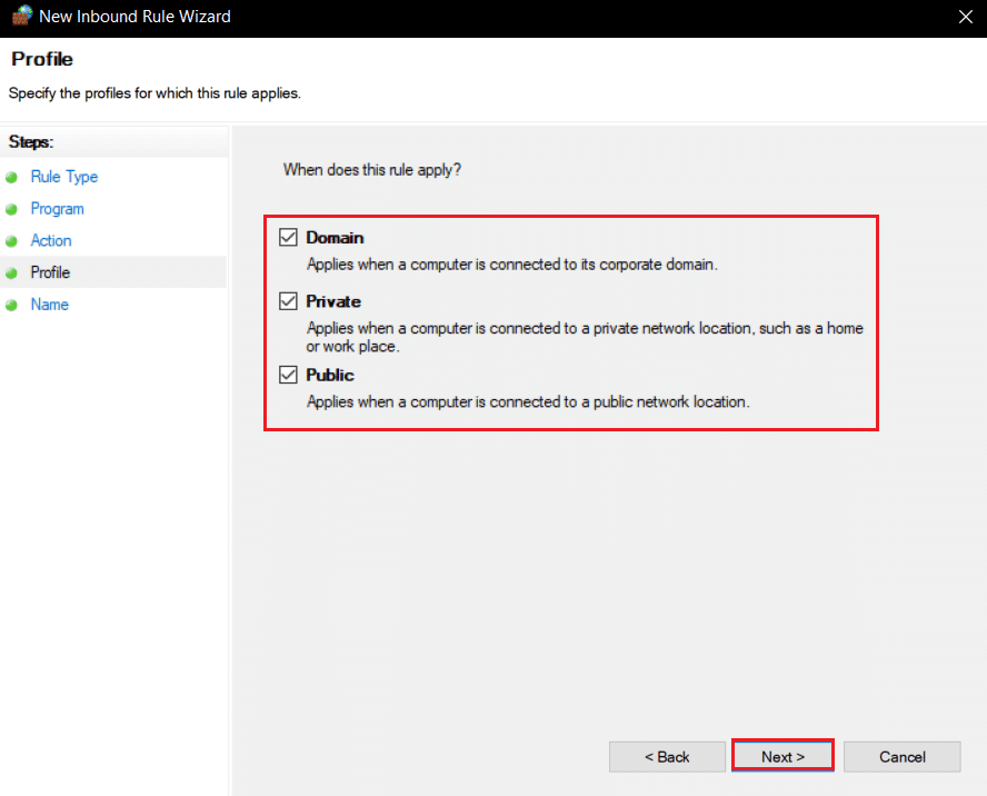 marque las opciones Dominio Privado y Público en el Asistente para nueva regla de entrada.  Arreglar Minecraft no pudo autenticar su conexión en Windows 10