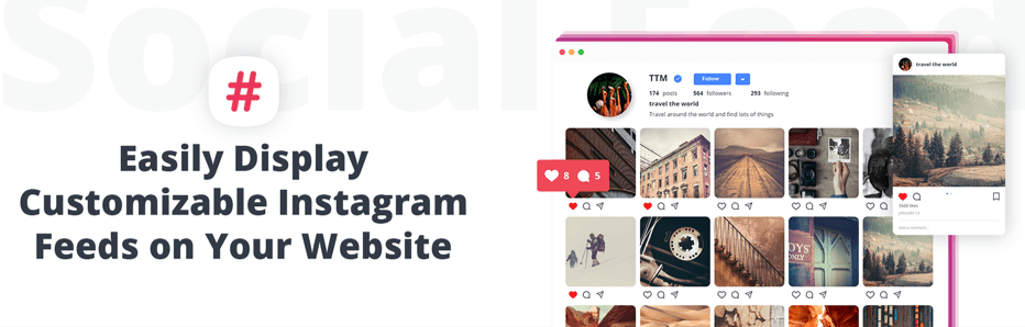 Complemento 10Web Social Feed.