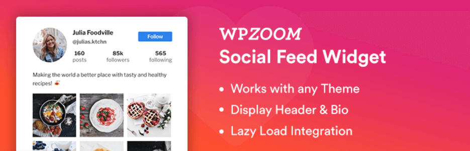 Complemento de widget de alimentación social WPZOOM.