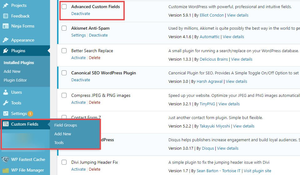 Campos personalizados de WordPress