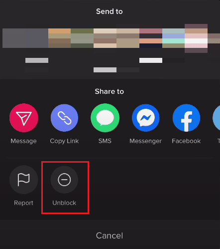 Toque Desbloquear para desbloquear el perfil inmediatamente |  bloquear y desbloquear a alguien en TikTok