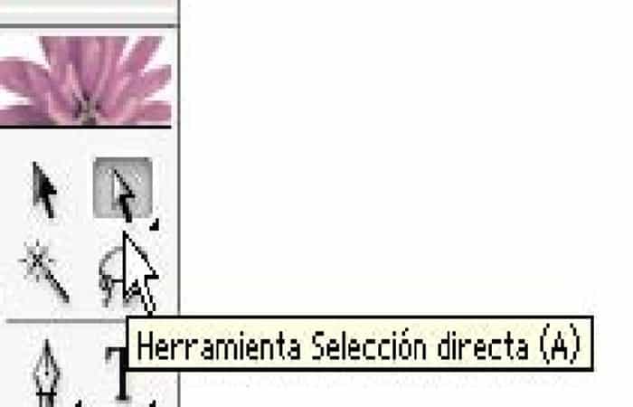 Herramienta de selección (V)