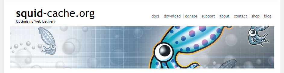 Página de inicio de caché de calamares.