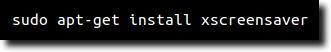 Instale el protector de pantalla XS