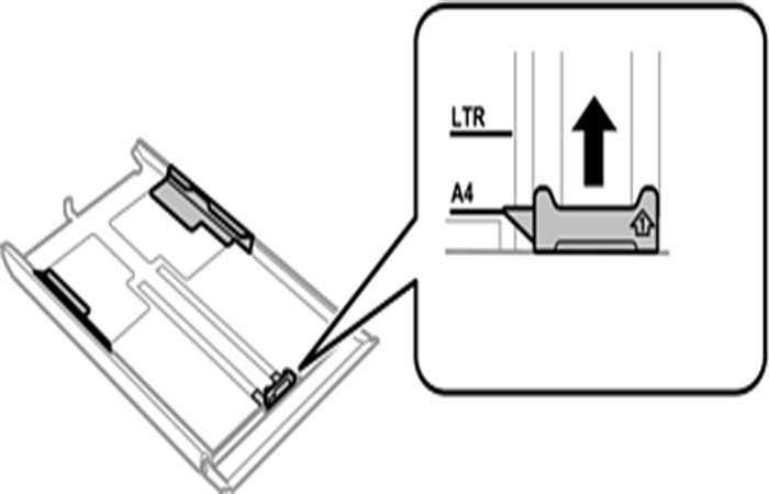 guía lateral frontal
