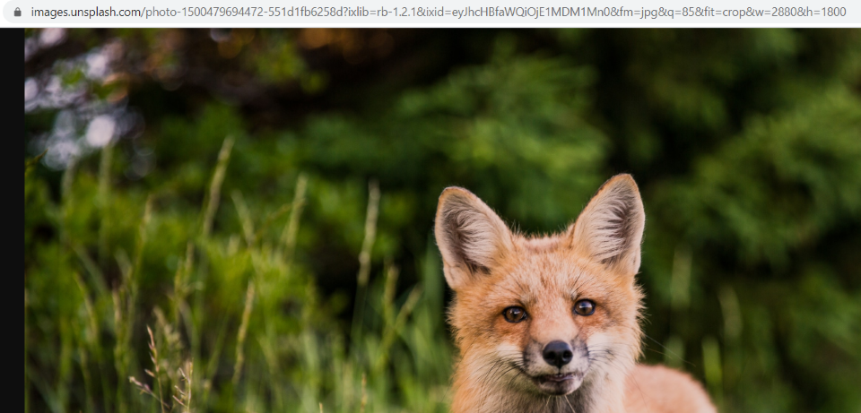 Las imágenes de Unsplash están cosidas en caliente