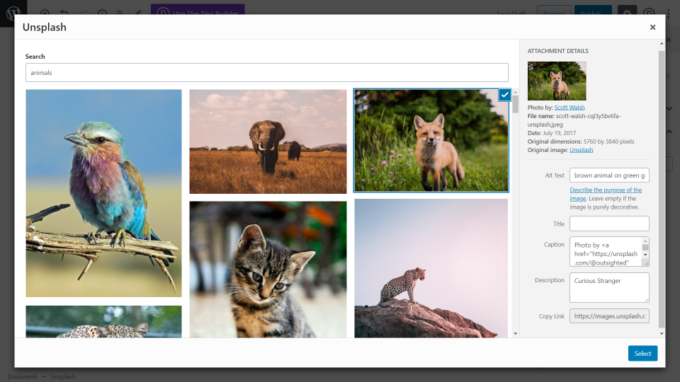 Unsplash con Gutenberg