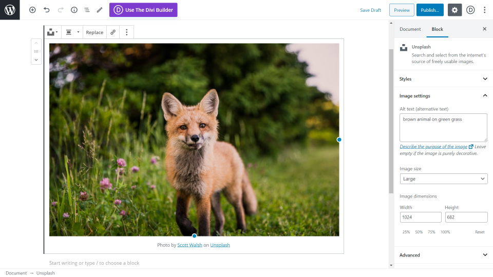 Unsplash con Gutenberg